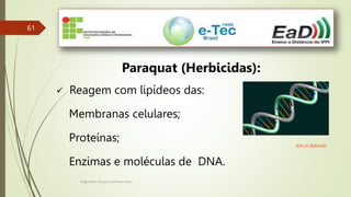 Engenheiro Zacarias Linhares Junior
61
Paraquat (Herbicidas):
 Reagem com lipídeos das:
Membranas celulares;
Proteínas;
Enzimas e moléculas de DNA.
Arte: g1.globo.com
 