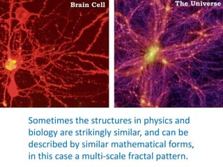 Sometimes the structures in physics and
biology are strikingly similar, and can be
described by similar mathematical forms,
in this case a multi-scale fractal pattern.
 