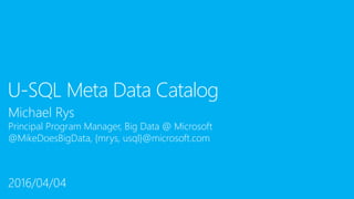 Michael Rys
Principal Program Manager, Big Data @ Microsoft
@MikeDoesBigData, {mrys, usql}@microsoft.com
U-SQL Meta Data Catalog
2016/04/04
 