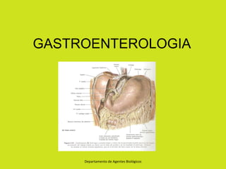 GASTROENTEROLOGIA




     Departamento de Agentes Biológicos
 