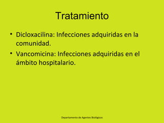 Tratamiento
• Dicloxacilina: Infecciones adquiridas en la
  comunidad.
• Vancomicina: Infecciones adquiridas en el
  ámbito hospitalario.




                 Departamento de Agentes Biológicos
 