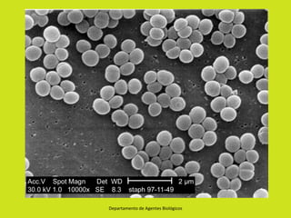 Departamento de Agentes Biológicos
 