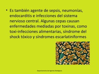 • Es también agente de sepsis, neumonías,
  endocarditis e infecciones del sistema
  nervioso central. Algunas cepas causan
  enfermedades mediadas por toxinas, como
  toxi-infecciones alimentarias, síndrome del
  shock tóxico y síndromes escarlatiniformes




                 Departamento de Agentes Biológicos
 