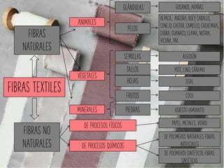 FIBRAS
NATURALES
FIBRAS NO
NATURALES
ANIMALES
VEGETALES
MINERALES
GLÁNDULAS
PELOS
GUSANOS, ARAÑAS
ALPACA, ANGORA, BUEY, CABALLO,
CONEJO, CASTOR, CAMELLO, CACHEMIRA,
CABRA, GUANACO, LLAMA, NUTRIA,
VICUÑA, YAK
SEMILLAS
TALLOS
HOJAS
ALGODÓN
YUTE, LINO, CÁÑAMO
FRUTOS
SISAL
COCO
ASBESTO (AMIANTO)PIEDRAS
DE PROCESOS FÍSICOS
DE PROCESOS QUÍMICOS
PAPEL, METALES, VIDRIO
DE POLÍMEROS NATURALES FIBRAS
ARTIFICIALES
DE POLÍMEROS SINTÉTICOS FIBRAS
SINTÉTICAS
FIBRAS TEXTILES
 