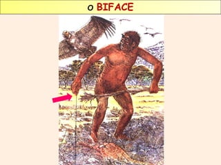 O BIFACE 
 
