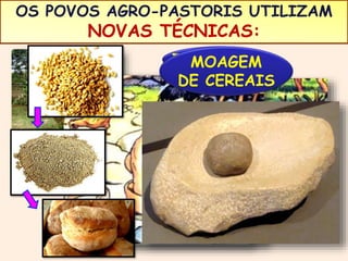 OS POVOS AGRO-PASTORIS UTILIZAM 
NOVAS TÉCNICAS: 
TCEOEMCSLEOATLAARAGIGREAEIMAM 
DE CEREAIS 
 