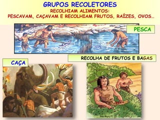 GRUPOS RECOLETORES 
RECOLHIAM ALIMENTOS: 
PESCAVAM, CAÇAVAM E RECOLHIAM FRUTOS, RAÍZES, OVOS… 
PESCA 
RECOLHA DE FRUTOS E BAGAS 
CAÇA 
 