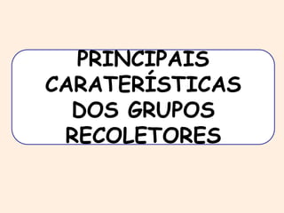 PRINCIPAIS 
CARATERÍSTICAS 
DOS GRUPOS 
RECOLETORES 
 