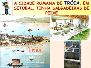 A CIDADE ROMANA DE TRÓIA, EM 
SETÚBAL, TINHA SALGADEIRAS DE 
PEIXE 
 