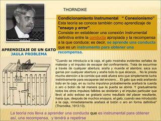Condicionamiento Instrumental “ Conexionismo”
Esta teoría se conoce también como aprendizaje de
"ensayo y error".
Consiste en establecer una conexión instrumental
definitiva entre la conducta apropiada y la recompensa
a la que conduce; es decir, se aprende una conducta
que es un instrumento para obtener una
recompensa.
THORNDIKE
APRENDIZAJE DE UN GATO
JAULA PROBLEMA
"Cuando se introducía a la caja, el gato mostraba evidentes señales de
malestar y el impulso de escapar del confinamiento. Trata de escurrirse
a través de cualquier abertura; araña y muerde el alambre; saca sus
garras por cualquier abertura y araña todo lo que alcanza… No le presta
mucha atención a la comida que está afuera sino que simplemente lucha
instintivamente para escaparse del encierro… El gato que está arañando
todo en la caja, en su lucha impulsiva probablemente arañará la cuerda
o aro o botón de tal manera que la puerta se abrirá. Y gradualmente
todos los otros impulsos fallidos se olvidarán y el impulso particular que
llevó al acto exitoso se grabará como resultado del placer resultante,
hasta que, después de muchos ensayos, el gato, cuando sea introducido
a la caja, inmediatamente arañará el botón o aro en forma definitiva"
(Thorndike, 1913:13).
La teoría nos lleva a aprender una conducta que es instrumental para obtener
así, una recompensa, y tendrá a repetirse
 