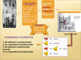 CONDICIONAMIEN
TO CLÁSICO :
es un tipo de
aprendizaje con
el que un
individuo
responde a un
estímulo que no
produce de
manera obligada
dicha respuesta.
ESTUDIOS
CON
PERROS
SOBRE LA
FISIOLOGÍA
DE LA
DIGESTIÓN.
PAVLOV
(1849-1936)
FISIOLOGO
RUSO
INTERVIENEN 4 ELEMENTOS
1.-El estímulo incondicionado
2.-La respuesta incondicionada
3.-El estímulo condicionado
(neural)
4.-La respuesta incondicionada
ASOCIACIÓN
 