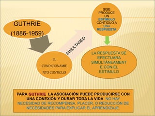 GUTHRIE
(1886-1959)
EL
CONDICIONAMIE
NTO CONTIGUO
SISE
PRODUCE
UN
ESTIMULO
CONTIGUO A
UNA
RESPUESTA
LA RESPUESTA SE
EFECTUARA
SIMULTÁNEAMENT
E CON EL
ESTIMULO
PARA GUTHRIE LA ASOCIACIÓN PUEDE PRODUCIRSE CON
UNA CONEXIÓN Y DURAR TODA LA VIDA: NO HAY
NECESIDAD DE RECOMPENSA, PLACER, O REDUCCIÓN DE
NECESIDADES PARA EXPLICAR EL APRENDIZAJE.
 