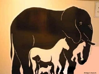 MV Edgar H. Murcia M.
 