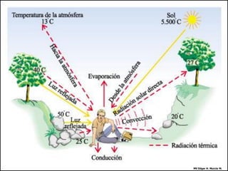 MV Edgar H. Murcia M.
 