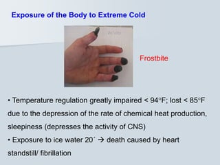 Exposure of the Body to Extreme Cold
• Temperature regulation greatly impaired < 94F; lost < 85F
due to the depression of the rate of chemical heat production,
sleepiness (depresses the activity of CNS)
• Exposure to ice water 20΄  death caused by heart
standstill/ fibrillation
Frostbite
 