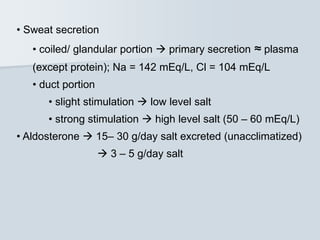 • Sweat secretion
• coiled/ glandular portion  primary secretion ≈ plasma
(except protein); Na = 142 mEq/L, Cl = 104 mEq/L
• duct portion
• slight stimulation  low level salt
• strong stimulation  high level salt (50 – 60 mEq/L)
• Aldosterone  15– 30 g/day salt excreted (unacclimatized)
 3 – 5 g/day salt
 