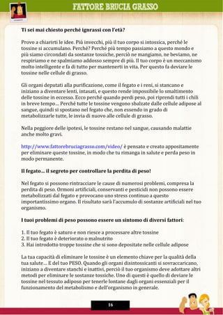 Ti sei mai chiesto perché ignrassi con l’età?
Provo a chiarirti le idee. Più invecchi, più il tuo corpo si intossica, perché le
tossine si accumulano. Perché? Perché più tempo passiamo a questo mondo e
più siamo circondati da sostanze tossiche, perciò ne mangiamo, ne beviamo, ne
respiriamo e ne spalmiamo addosso sempre di più. Il tuo corpo è un meccanismo
molto intelligente e fa di tutto per mantenerti in vita. Per questo fa deviare le
tossine nelle cellule di grasso.
Gli organi deputati alla purificazione, come il fegato e i reni, si stancano e
iniziano a diventare lenti, intasati, e questo rende impossibile lo smaltimento
delle tossine in eccesso. Ecco perché quando perdi peso, poi riprendi tutti i chili
in breve tempo… Perché tutte le tossine vengono sbalzate dalle cellule adipose al
sangue, quindi si spostano nel fegato che, non essendo in grado di
metabolizzarle tutte, le invia di nuovo alle cellule di grasso.
Nella peggiore delle ipotesi, le tossine restano nel sangue, causando malattie
anche molto gravi.
http://www.fattorebruciagrasso.com/video/ è pensato e creato appositamente
per eliminare queste tossine, in modo che tu rimanga in salute e perda peso in
modo permanente.
Il fegato… il segreto per controllare la perdita di peso!
Nel fegato si possono rintracciare le cause di numerosi problemi, compresa la
perdita di peso. Ormoni artificiali, conservanti e pesticidi non possono essere
metabolizzati dal fegato e provocano uno stress continuo a questo
importantissimo organo. Il risultato sarà l’accumulo di sostanze artificiali nel tuo
organismo.
I tuoi problemi di peso possono essere un sintomo di diversi fattori:
1. Il tuo fegato è saturo e non riesce a processare altre tossine
2. Il tuo fegato è deteriorato o malnutrito
3. Hai introdotto troppe tossine che si sono depositate nelle cellule adipose
La tua capacità di eliminare le tossine è un elemento chiave per la qualità della
tua salute… E del tuo PESO. Quando gli organi disintossicanti si sovraccaricano,
iniziano a diventare stanchi e inattivi, perciò il tuo organismo deve adottare altri
metodi per eliminare le sostanze tossiche. Uno di questi è quello di deviare le
tossine nel tessuto adiposo per tenerle lontane dagli organi essenziali per il
funzionamento del metabolismo e dell’organismo in generale.
16
 