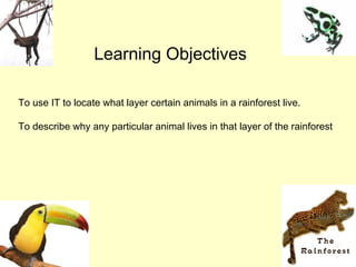 Learning Objectives

To use IT to locate what layer certain animals in a rainforest live.

To describe why any particular animal lives in that layer of the rainforest
 