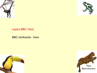 Layers BBC: Here

BBC rainforests : Here
 