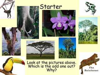 Starter




Look at the pictures above.
Which is the odd one out?
          Why?
 