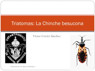 Triatomas: La Chinche besucona

                              Víctor Cortés Sánchez




Departamento de Agentes Biológicos
 