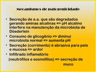 Mecanismos de patogenicidade

• Secreção de a.a. que são degradados
   gerando aminas alcalinas => pH alcalino
   interfere na manutenção da microbiota de
   Döederlein
• Consumo de glicogênio => diminui
   microbiota normal => aumenta pH
• Secreção (corrimento) é abrasiva para pele
   e mucosa => ardor
• Infiltrado inflamatório
  (neutrófilos e eosinófilos) => secreção de
                                  muco
 