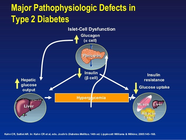 literature review on diabetes mellitus type 2 literature review on diabetes mellitus type 2