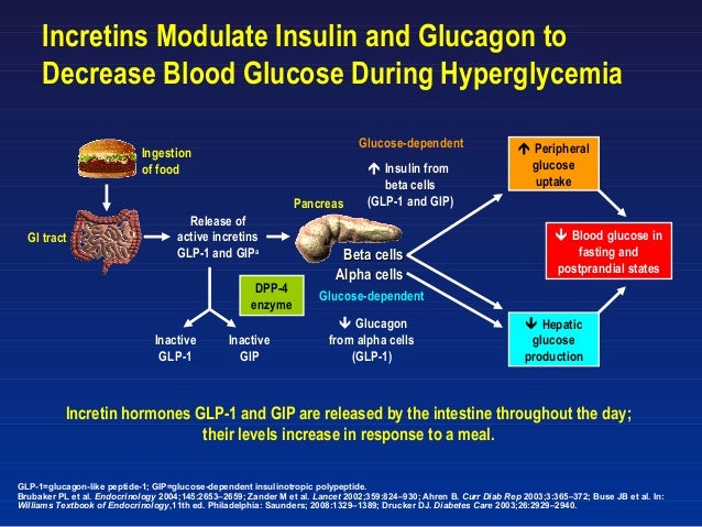 Gestan Diabetes Mellitus Alphamedical Sk