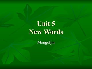 Unit 5 New Words Mongoljin 