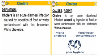 GBSN - Microbiology (Human and Microbial Interactions) | PPTX