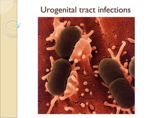 Urogenital tract infections
 