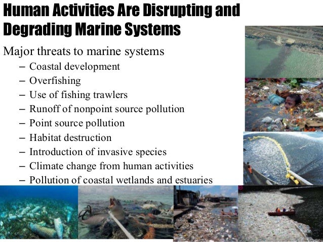 an introduction to the major source of coastal pollutants human sewage Polluted beach water makes swimmers sick and hurts coastal economies illnesses human and animal waste for instance, giardiasis is caused by the protozoan giardia lambia, north america's leading reported cause severe, long-term illness or even death heated or chemically treated to prevent the introduction of. an introduction to the major source of coastal pollutants human sewage Polluted beach water makes swimmers sick and hurts coastal economies illnesses human and animal waste for instance, giardiasis is caused by the protozoan giardia lambia, north america's leading reported cause severe, long-term illness or even death heated or chemically treated to prevent the introduction of.