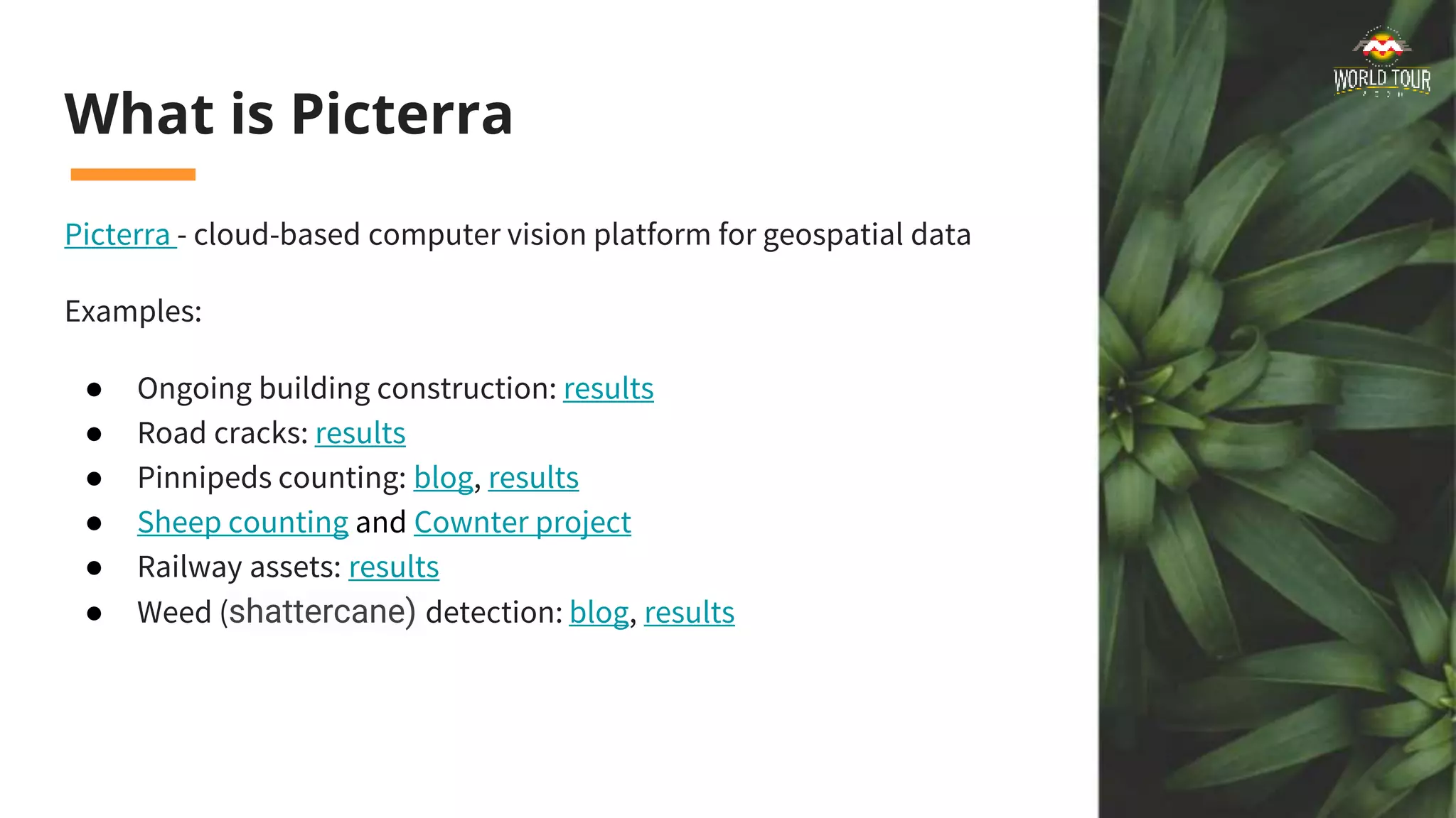 What is Picterra
Picterra - cloud-based computer vision platform for geospatial data
Examples:
● Ongoing building construction: results
● Road cracks: results
● Pinnipeds counting: blog, results
● Sheep counting and Cownter project
● Railway assets: results
● Weed (shattercane) detection: blog, results
 