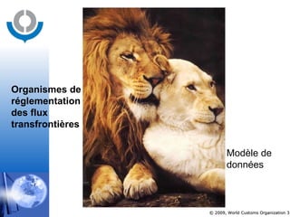 Modèle de données Organismes de  réglementation des flux  transfrontières 