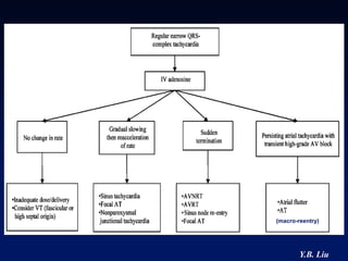 (macro-reentry)




        Y.B. Liu
 