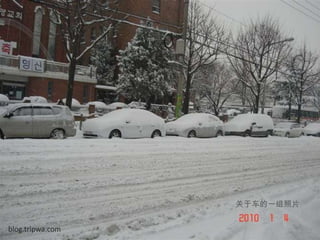 关于车的一组照片blog.tripwa.com