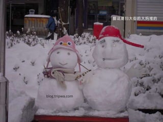 据说是扫大街的大妈堆的blog.tripwa.com