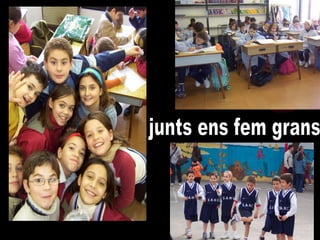 junts ens fem grans 