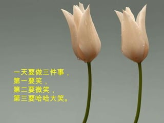 一天要做三件事， 第一要笑，  第二要微笑， 第三要哈哈大笑。 