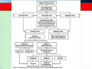 CT scan showing right adrenal adenoma
 