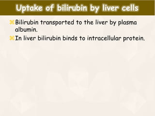 Bilirubin transported to the liver by plasma
albumin.
In liver bilirubin binds to intracellular protein.
Uptake of bilirubin by liver cells
 