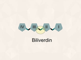 IIIIIIIV
Biliverdin
 