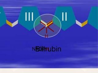 NADPH
H
Bilirubin
 