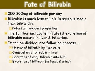 250-300mg of bilirubin per day
Bilirubin is much less soluble in aqueous media
than biliverdin.
Potent anti-oxidant properties
The further metabolism (fate) & excretion of
bilirubin occurs in liver & intestine.
It can be divided into following process……
Uptake of bilirubin by liver cells
Conjugation of bilirubin in liver
Secretion of conj. Bilirubin into bile
Excretion of bilirubin (in feces & urine)
Fate of Bilirubin
 