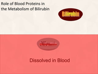 Role of Blood Proteins in
the Metabolism of Bilirubin
1. Albumin
Dissolved in Blood
 