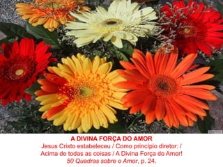 A DIVINA FORÇADO AMORJesus Cristo estabeleceu / Como princípio diretor: / Acima de todasas coisas / A Divina Força do Amor!50 Quadras sobre o Amor, p. 24.