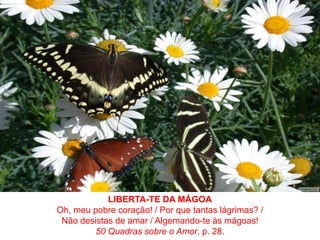 LIBERTA-TE DA MÁGOAOh, meu pobre coração! / Por que tantas lágrimas? / Não desistas de amar / Algemando-te às mágoas!50 Quadras sobre o Amor, p. 28.