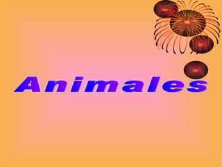 Animales 