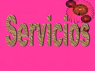 Servicios 
