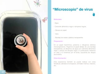 Materiales:
- Agua.
- Colorante alimenticio negro o témperas negras.
- Dibujos en papel.
- Vaso.
- Bandeja de cristal o plástico transparente.
Preparación:
En un papel imprimimos, pintamos o dibujamos distintos
microorganismos. Pegamos el papel debajo de una bandeja
transparente y la llenamos de agua con colorante alimenticio
negro o pintura de témpera negra. A continuación metemos
un vaso y lo movemos por el fondo, buscando los dibujos
escondidos.
Otra información:
Esta experiencia también se puede realizar con otras
temáticas: planetas en el espacio, animales marinos, insectos,
etc.
“Microscopio” de virus
43
 